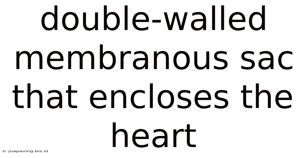 Double-walled Membranous Sac That Encloses The Heart