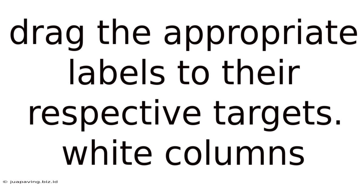 Drag The Appropriate Labels To Their Respective Targets. White Columns