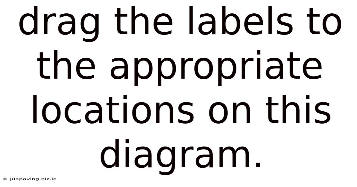 Drag The Labels To The Appropriate Locations On This Diagram.