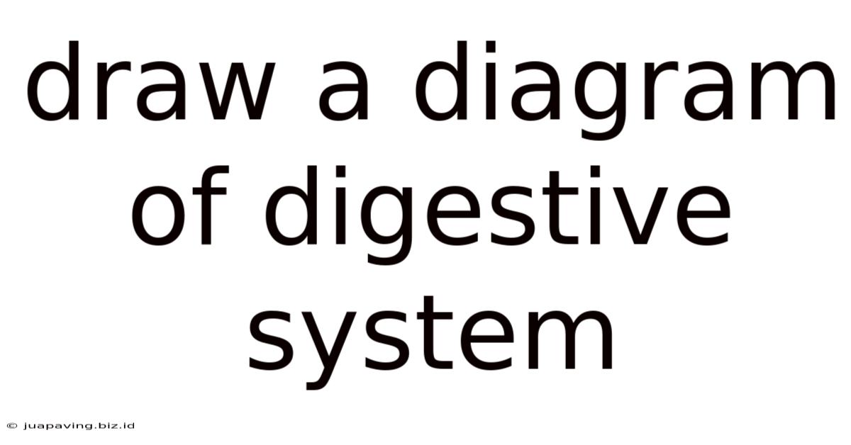 Draw A Diagram Of Digestive System