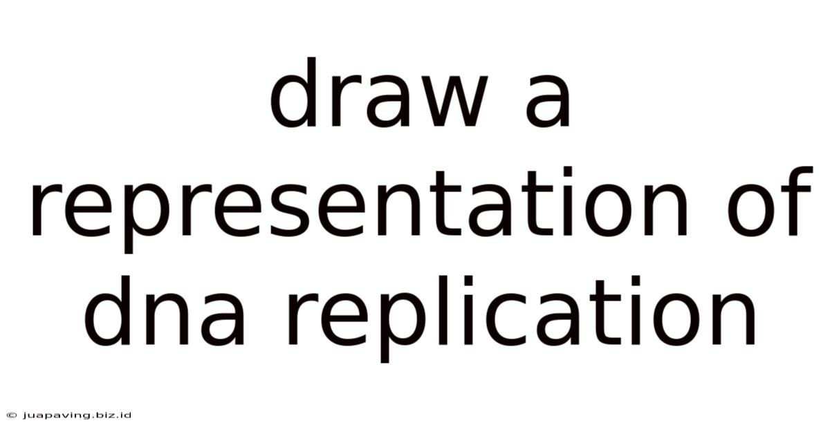 Draw A Representation Of Dna Replication
