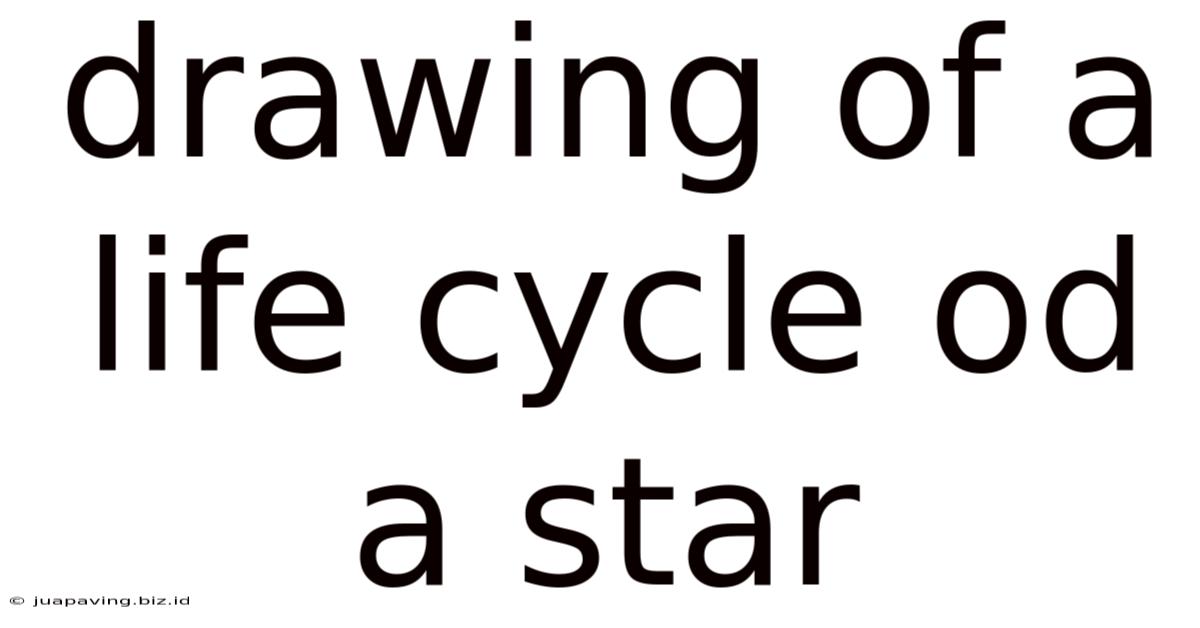 Drawing Of A Life Cycle Od A Star
