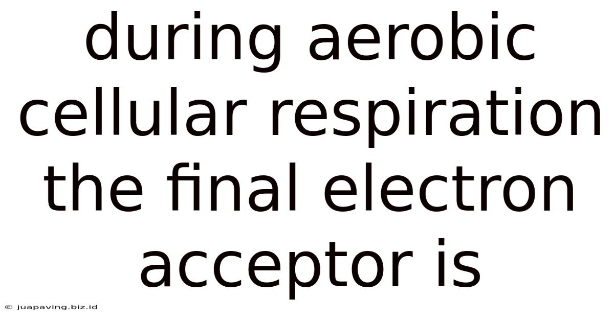 During Aerobic Cellular Respiration The Final Electron Acceptor Is