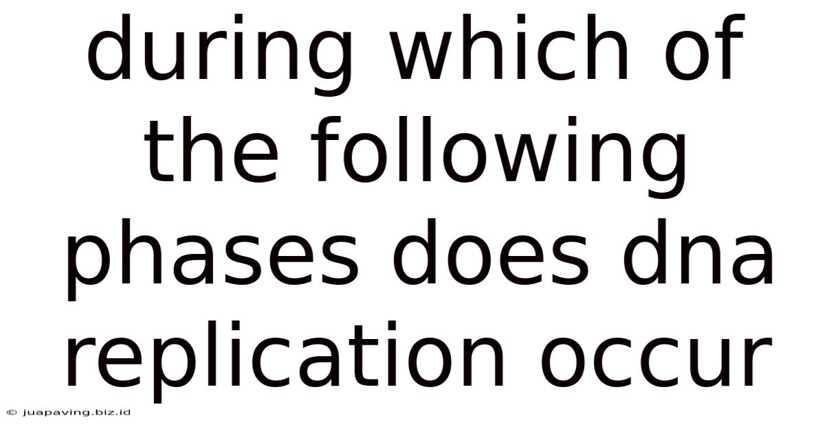 During Which Of The Following Phases Does Dna Replication Occur