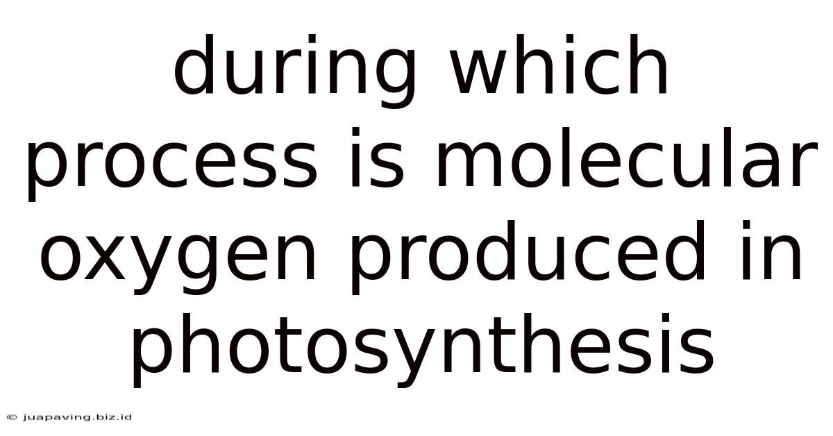 During Which Process Is Molecular Oxygen Produced In Photosynthesis