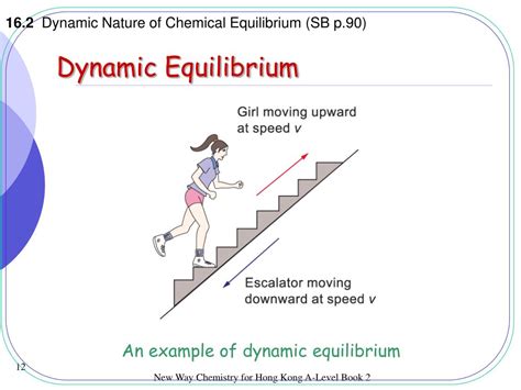 Dynamic Equilibrium Is Maintained By The