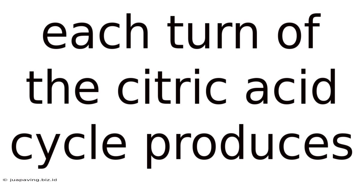 Each Turn Of The Citric Acid Cycle Produces