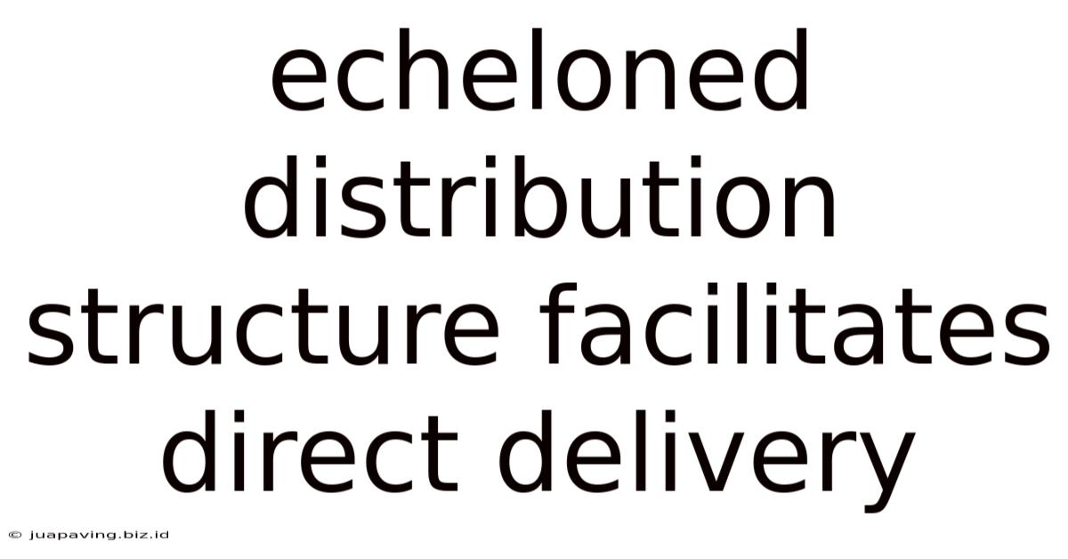Echeloned Distribution Structure Facilitates Direct Delivery