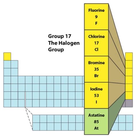 Elements In Group 17 Are Called