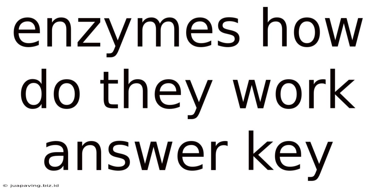 Enzymes How Do They Work Answer Key