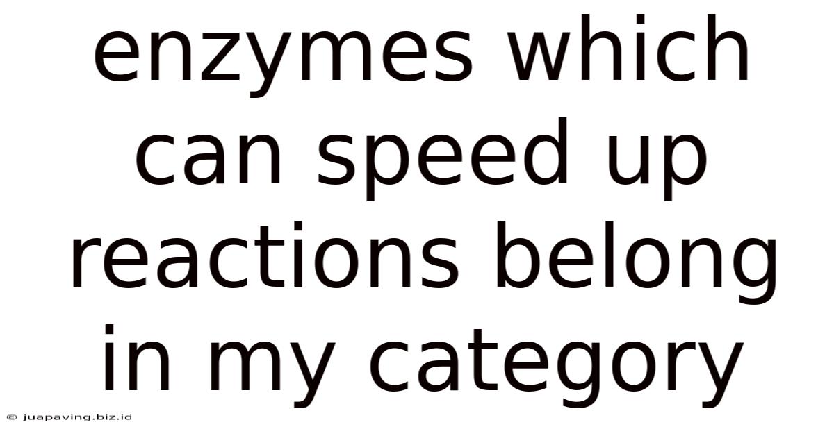 Enzymes Which Can Speed Up Reactions Belong In My Category