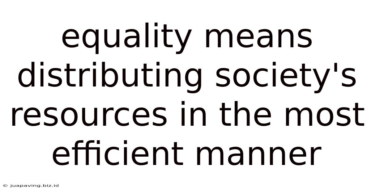 Equality Means Distributing Society's Resources In The Most Efficient Manner