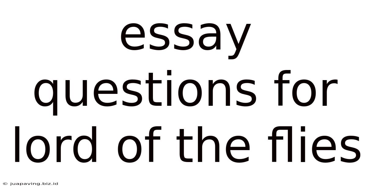 Essay Questions For Lord Of The Flies