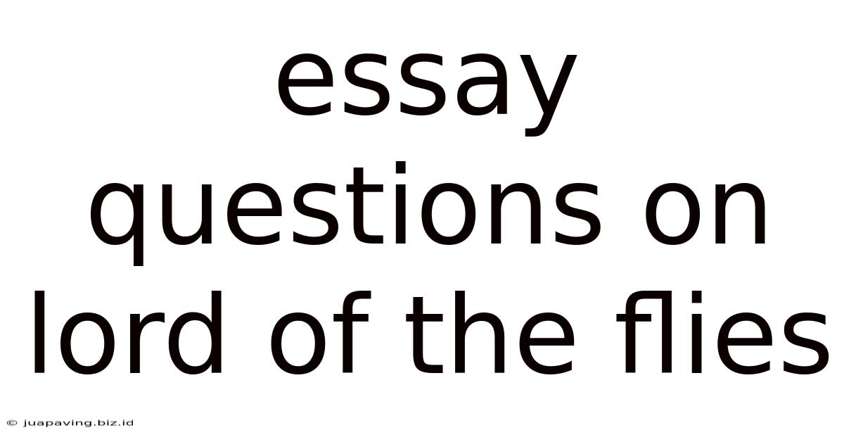 Essay Questions On Lord Of The Flies