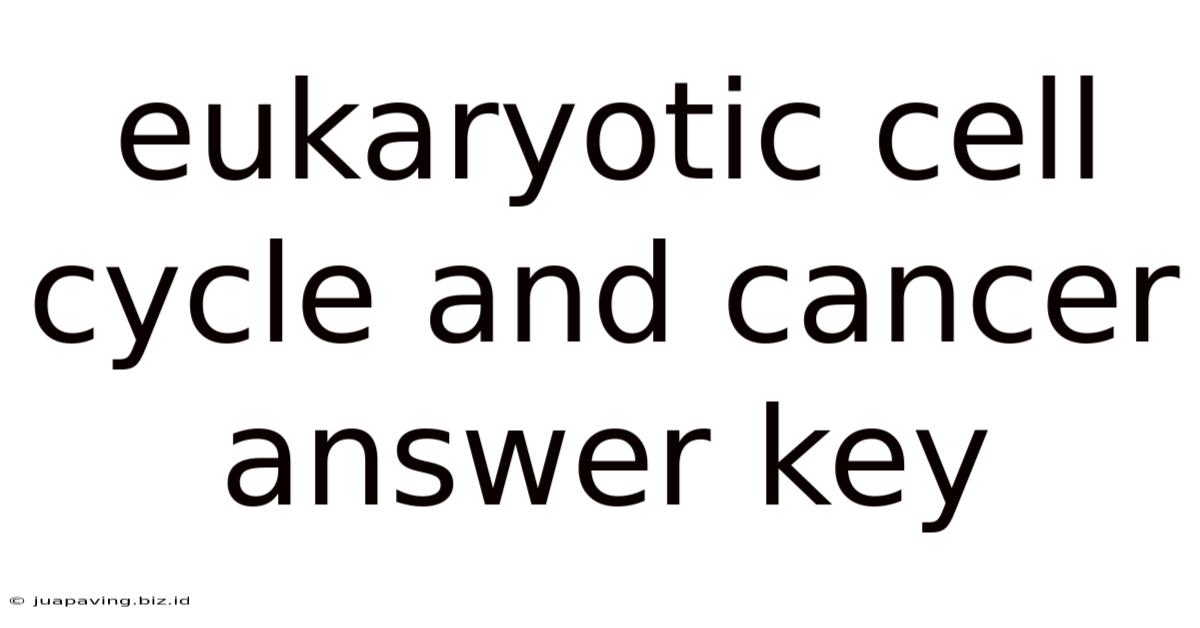 Eukaryotic Cell Cycle And Cancer Answer Key