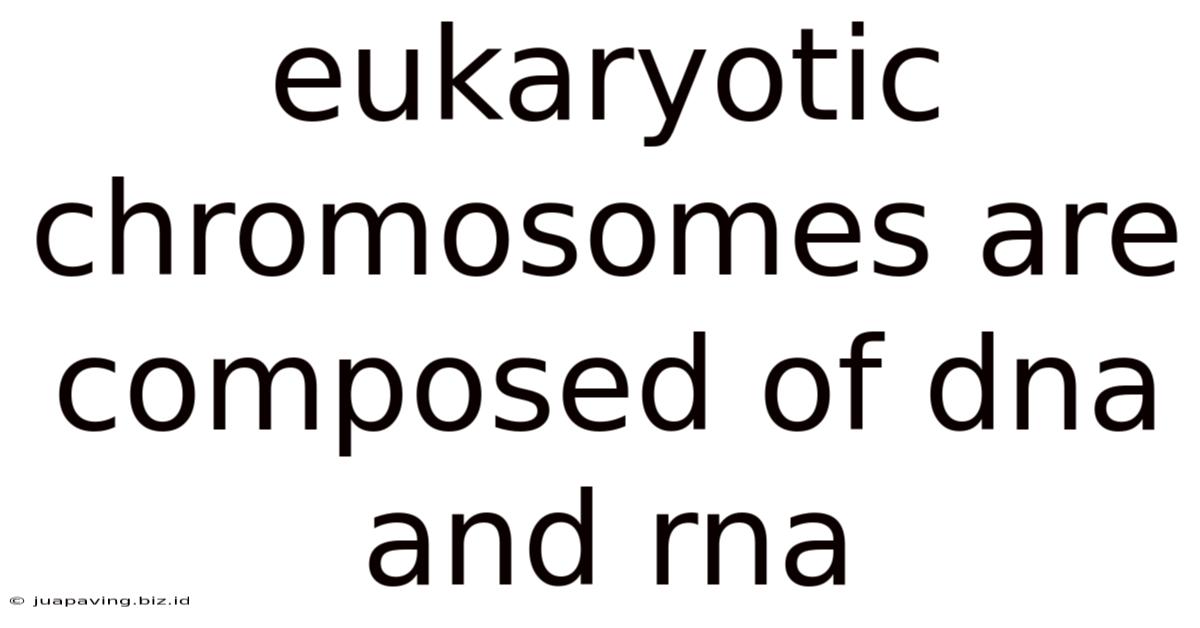 Eukaryotic Chromosomes Are Composed Of Dna And Rna