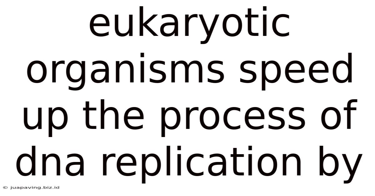 Eukaryotic Organisms Speed Up The Process Of Dna Replication By