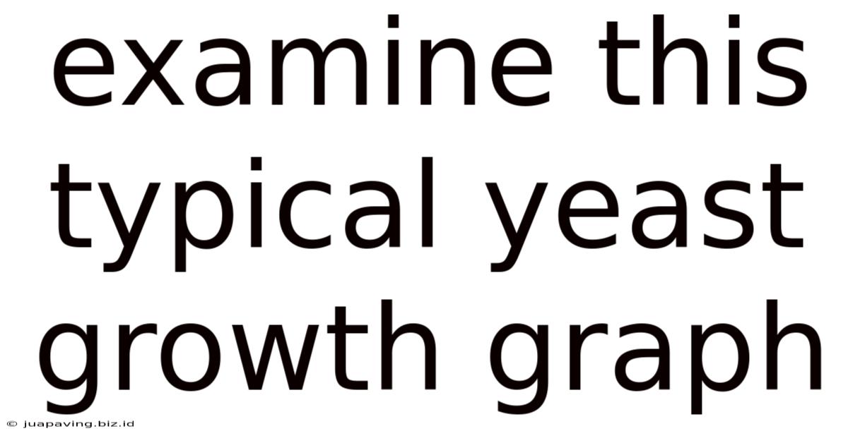 Examine This Typical Yeast Growth Graph