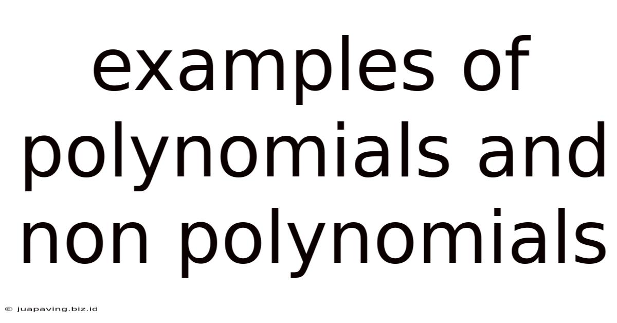 Examples Of Polynomials And Non Polynomials