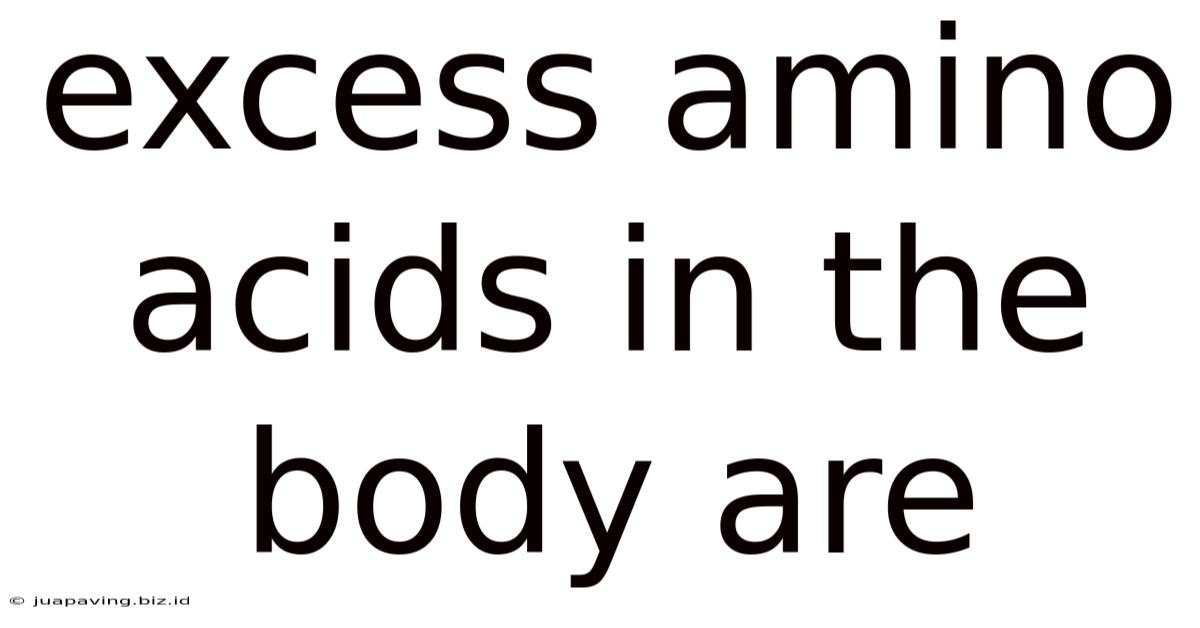 Excess Amino Acids In The Body Are