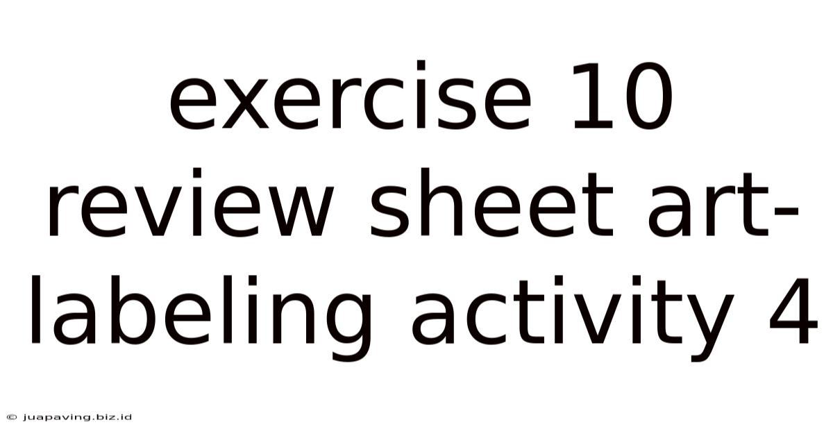 Exercise 10 Review Sheet Art-labeling Activity 4