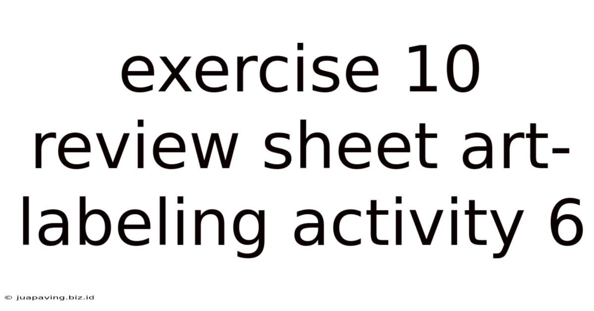 Exercise 10 Review Sheet Art-labeling Activity 6