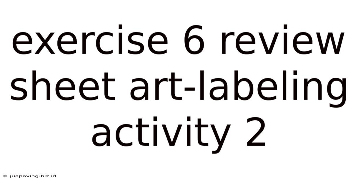 Exercise 6 Review Sheet Art-labeling Activity 2