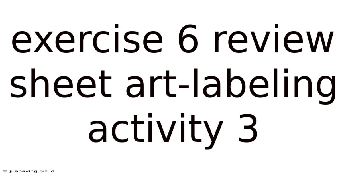 Exercise 6 Review Sheet Art-labeling Activity 3