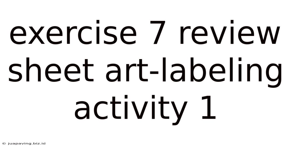 Exercise 7 Review Sheet Art-labeling Activity 1