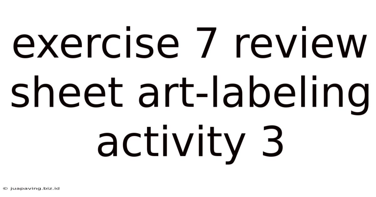 Exercise 7 Review Sheet Art-labeling Activity 3