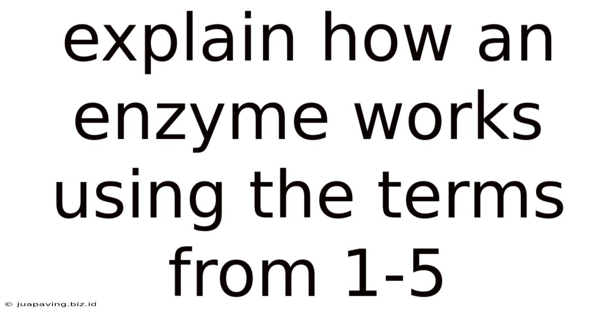 Explain How An Enzyme Works Using The Terms From 1-5