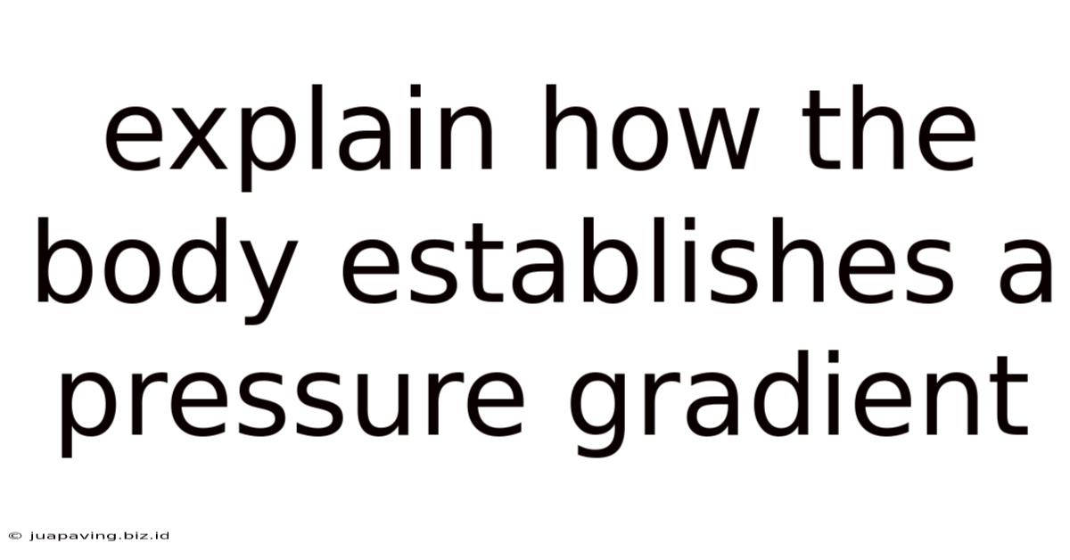 Explain How The Body Establishes A Pressure Gradient