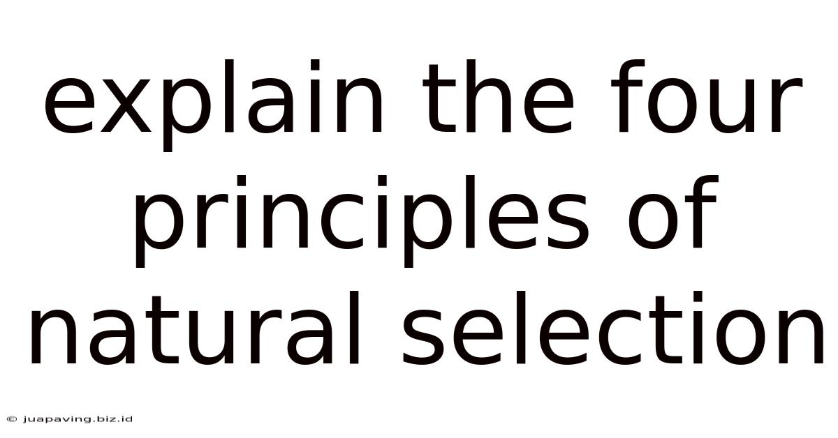 Explain The Four Principles Of Natural Selection