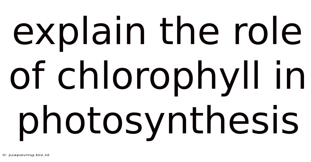 Explain The Role Of Chlorophyll In Photosynthesis