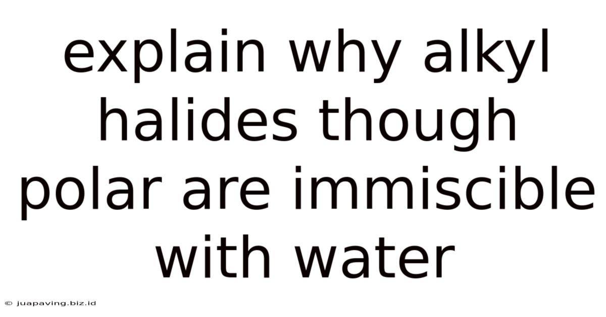 Explain Why Alkyl Halides Though Polar Are Immiscible With Water