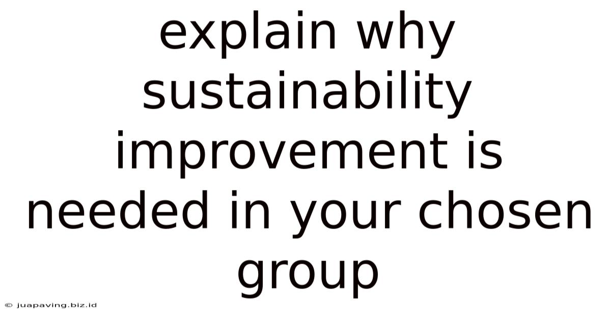 Explain Why Sustainability Improvement Is Needed In Your Chosen Group