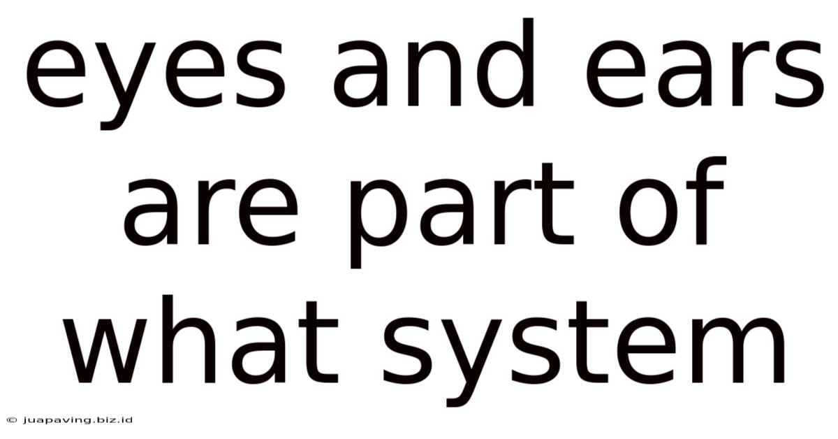 Eyes And Ears Are Part Of What System
