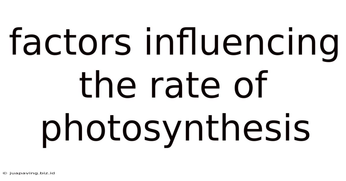 Factors Influencing The Rate Of Photosynthesis