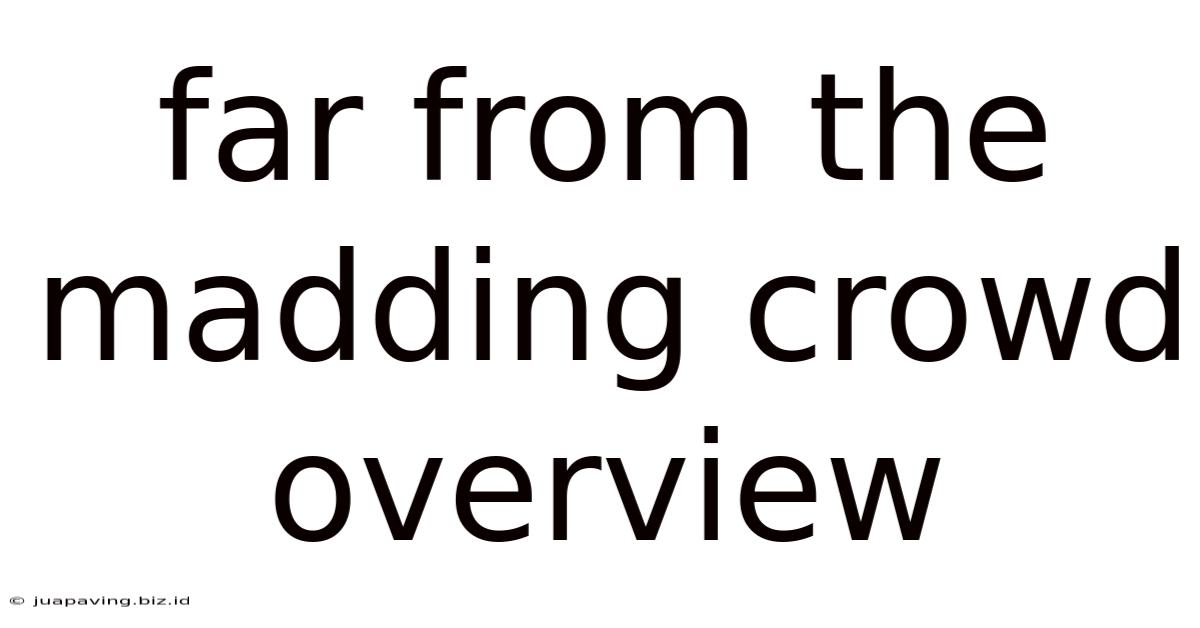 Far From The Madding Crowd Overview