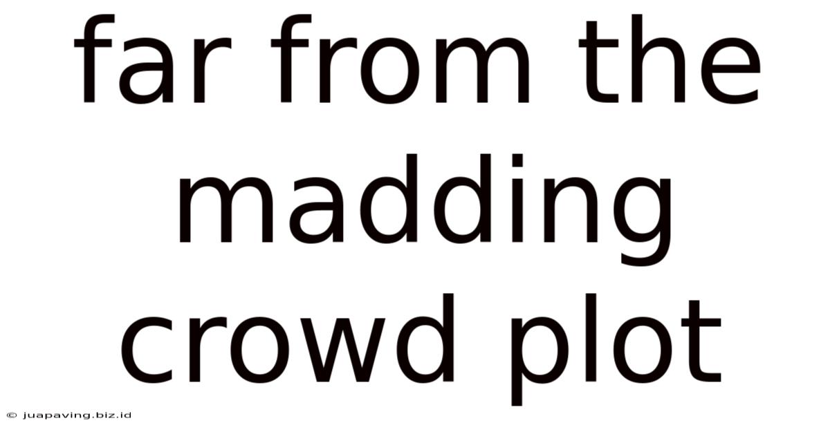 Far From The Madding Crowd Plot