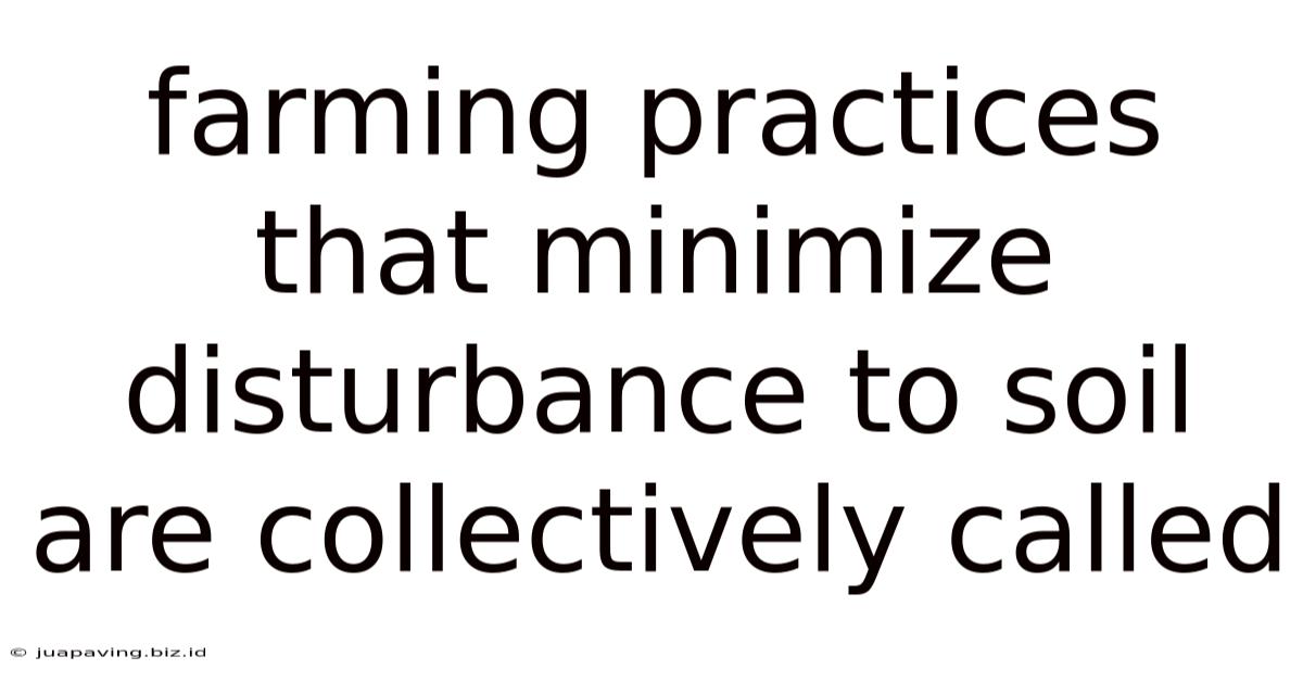 Farming Practices That Minimize Disturbance To Soil Are Collectively Called