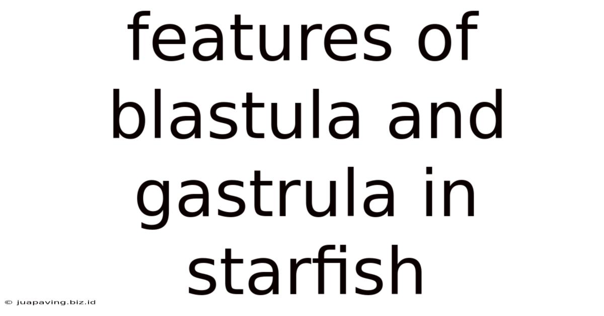 Features Of Blastula And Gastrula In Starfish