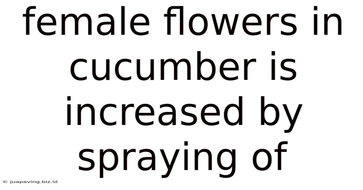 Female Flowers In Cucumber Is Increased By Spraying Of