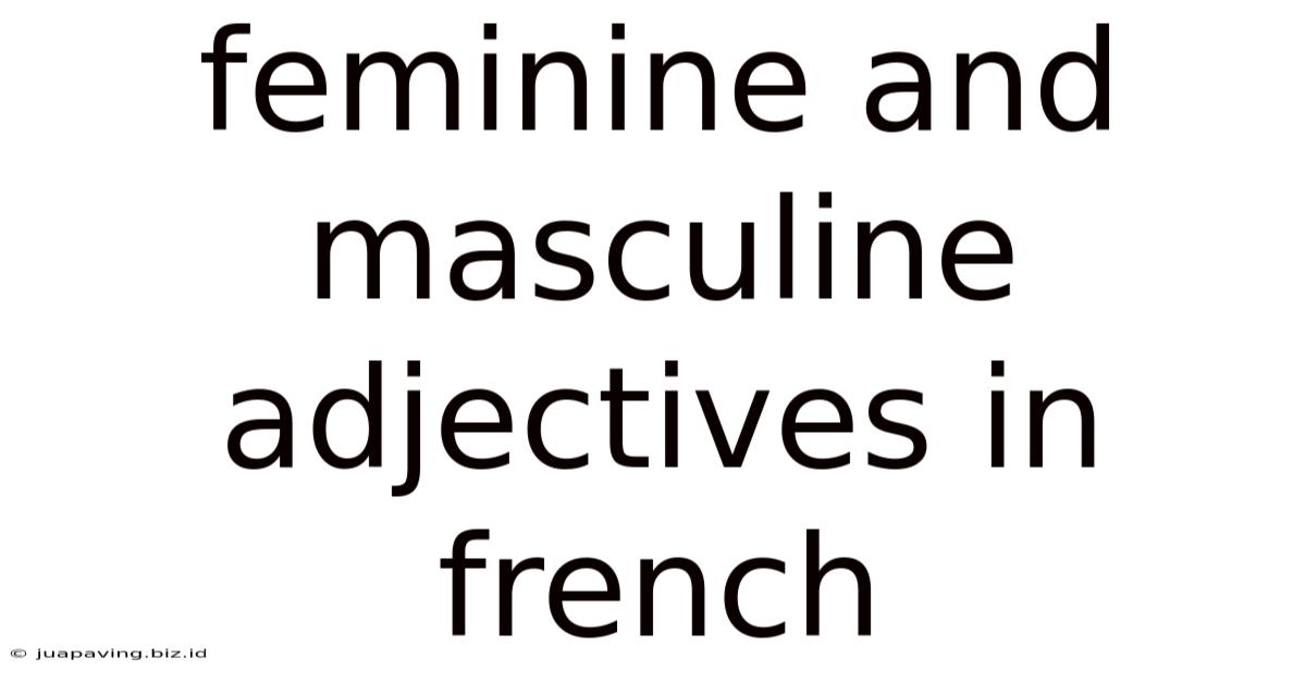 Feminine And Masculine Adjectives In French