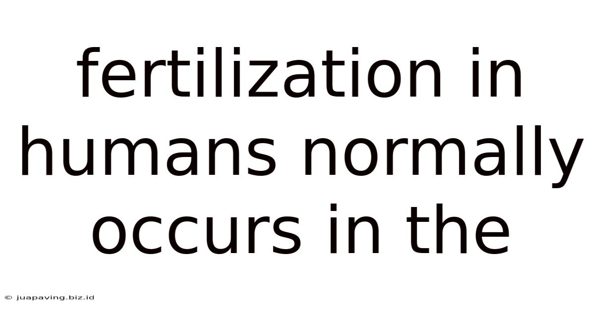 Fertilization In Humans Normally Occurs In The