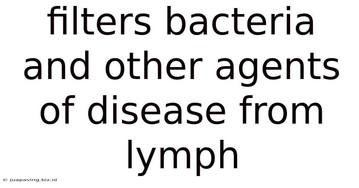 Filters Bacteria And Other Agents Of Disease From Lymph