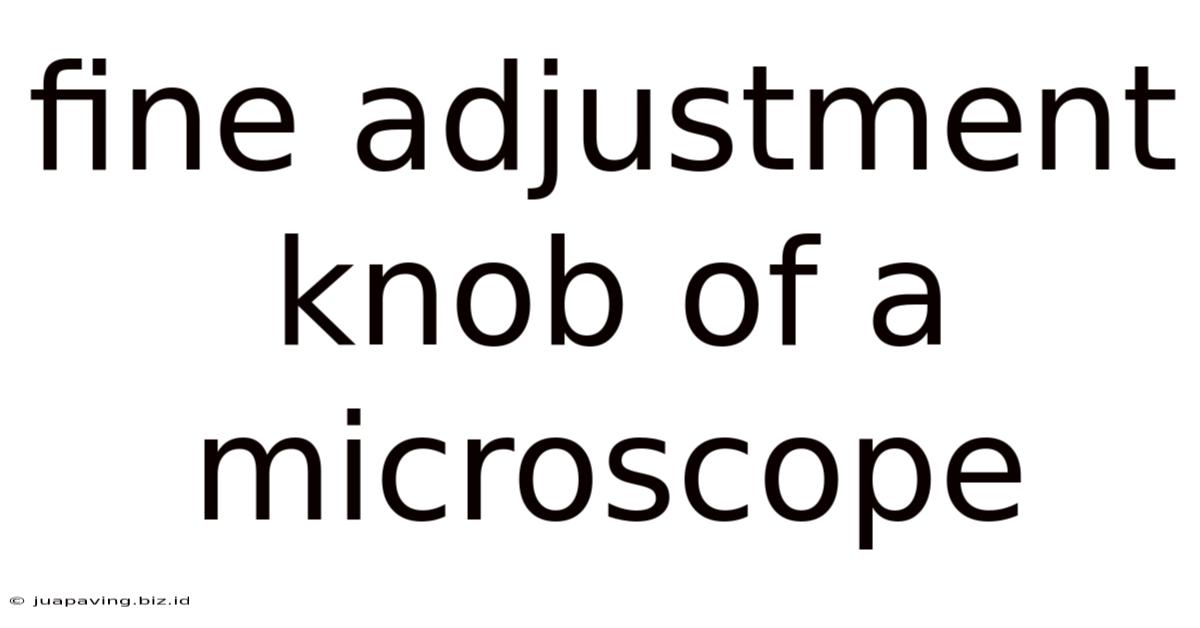 Fine Adjustment Knob Of A Microscope