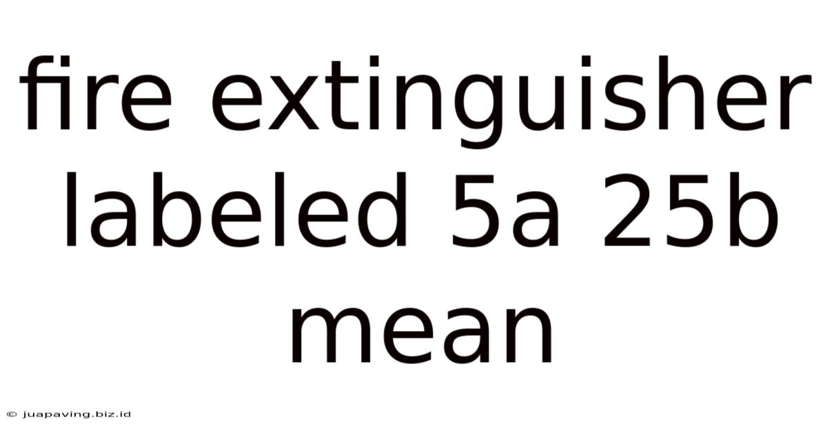 Fire Extinguisher Labeled 5a 25b Mean