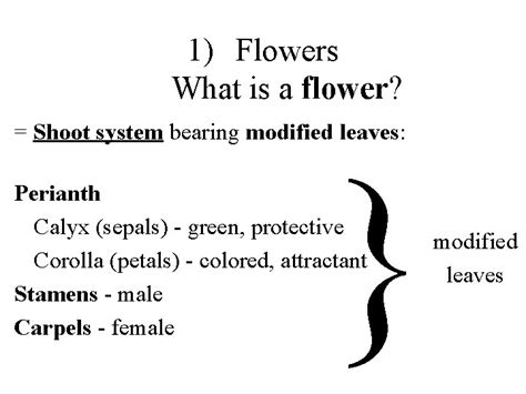 Flowers Are Essentially Modified Bearing Modified