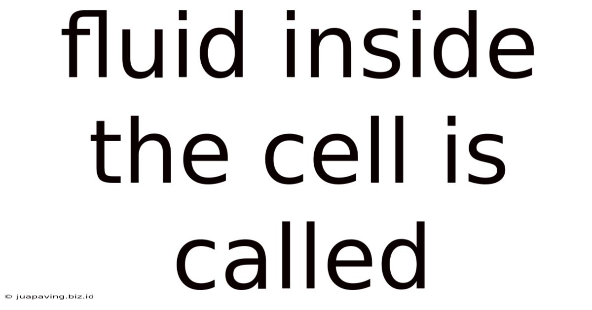 Fluid Inside The Cell Is Called